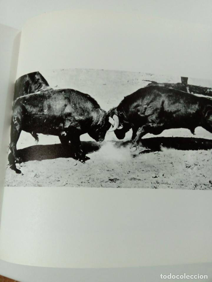 Libros de segunda mano: TOROS DE IBERIA - Foto 4