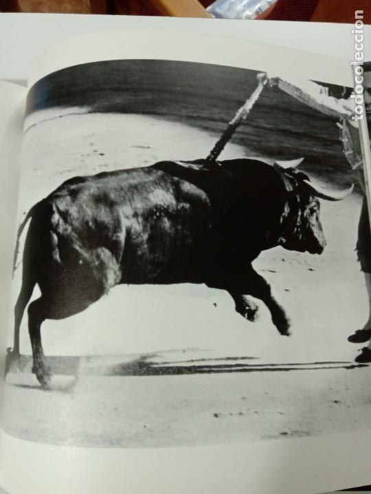 Libros de segunda mano: TOROS DE IBERIA - Foto 6