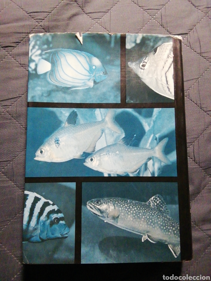 Libros de segunda mano: GRAN ENCICLOPEDIA DE LOS PECES. STANISLAV FRANK - Foto 3