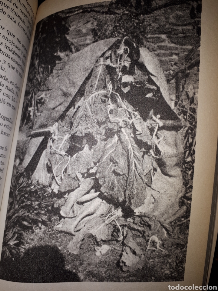 Libros de segunda mano: CARTAS DESDE RODEZ, 3 A. ARTAUD - Foto 2