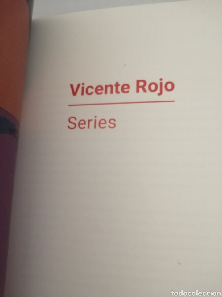 Libros de segunda mano: VICENTE ROJO. Series (Catalogo exposici&oacute;n) - Foto 6