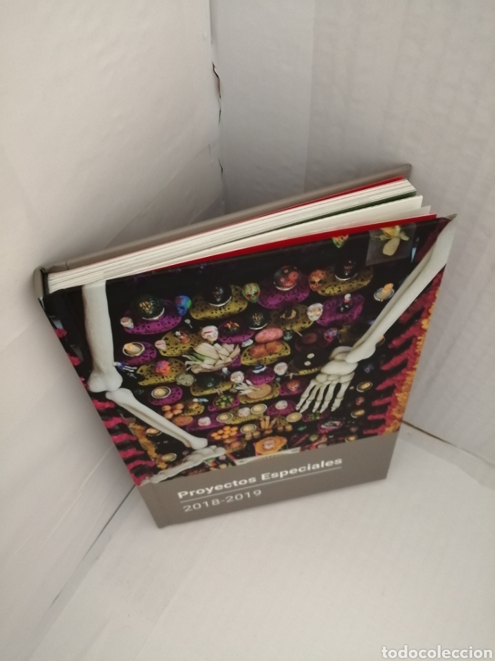 Libros de segunda mano: Proyectos especiales: 2018-2019 (Catalogo exposici&oacute;n) - Foto 4