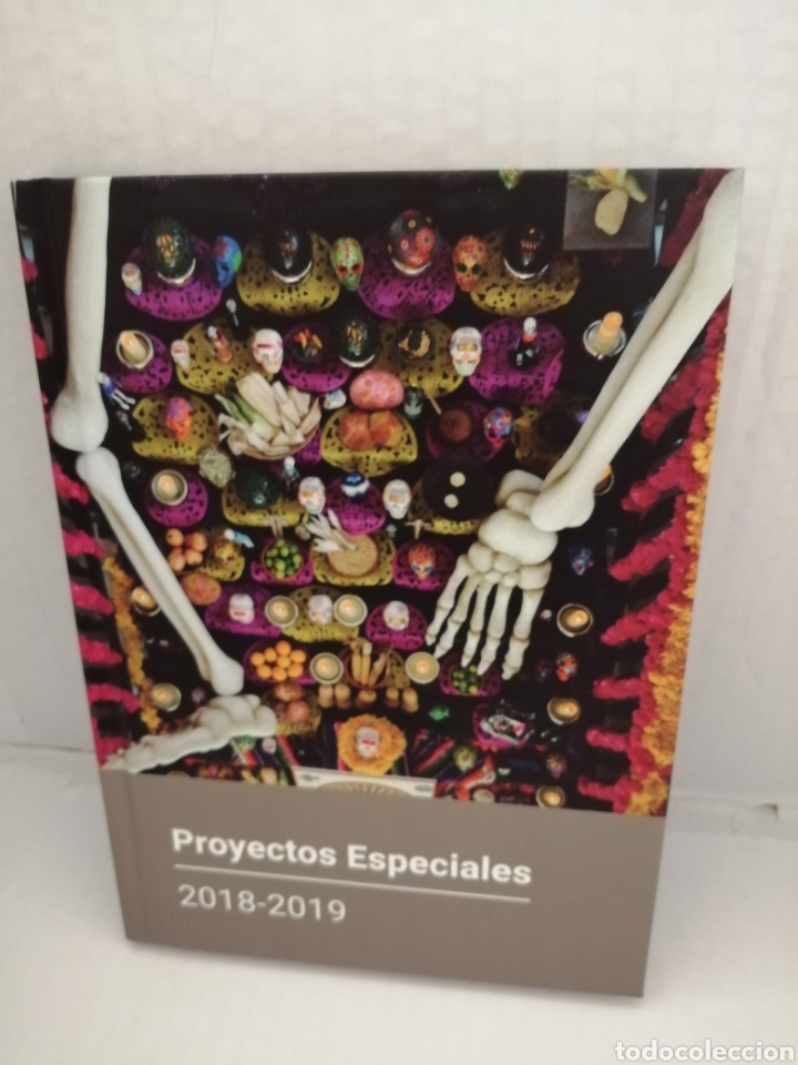 Libros de segunda mano: Proyectos especiales: 2018-2019 (Catalogo exposici&oacute;n) - Foto 1