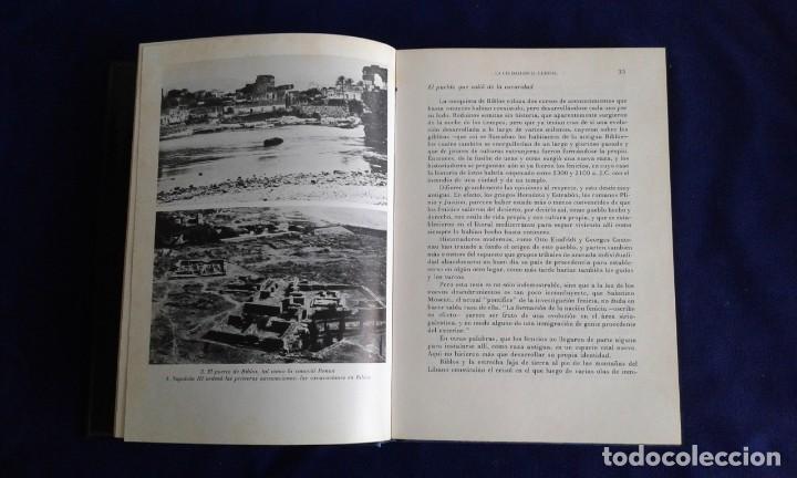 Libros de segunda mano: LOS FENICIOS, GERHARD HERM, EDICIONES DESTINO - Foto 4