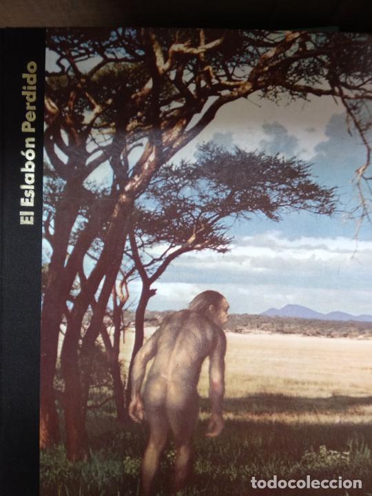 Libros de segunda mano: OR&Iacute;GENES DEL HOMBRE - EL ESLAB&Oacute;N PERDIDO ( TIME-LIFE ) - Foto 1