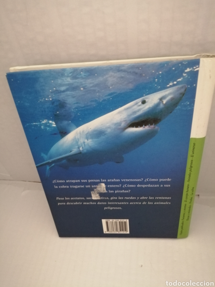 Libros de segunda mano: Animales peligrosos (con pop-ups, solapas, leng&uuml;etas y pegatinas) - Foto 2