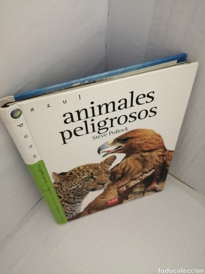 Libros de segunda mano: Animales peligrosos (con pop-ups, solapas, leng&uuml;etas y pegatinas) - Foto 8