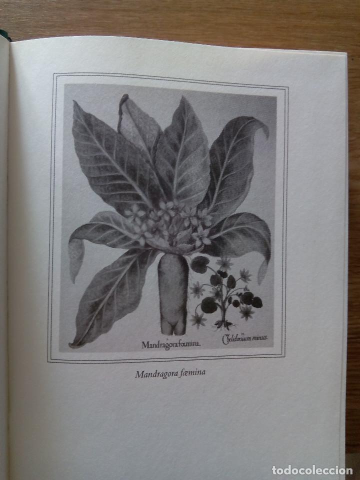 Libros de segunda mano: EL LIBRO DE LOS HECHIZOS. / HOWE, KATHERIN - Foto 4