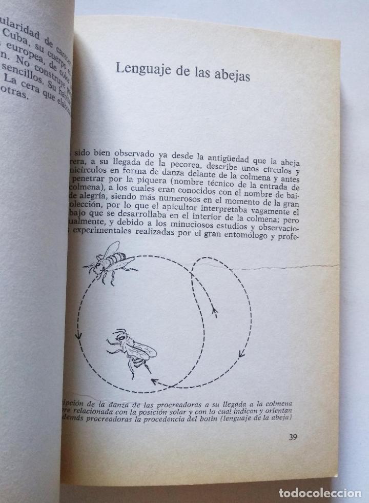 Libros de segunda mano: Colmena moderna, la | Alemany Albert, Jos&eacute; M. | De Vecchi Ediciones, 1979 - Foto 4