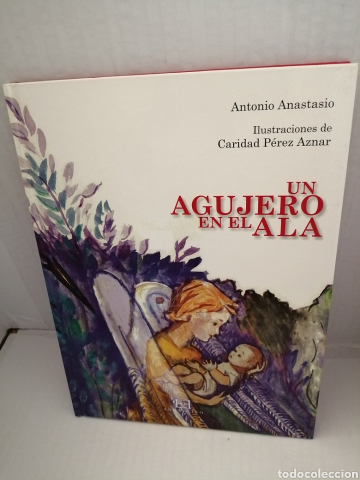 Libri di seconda mano: Un agujero en el ala (tapa dura)