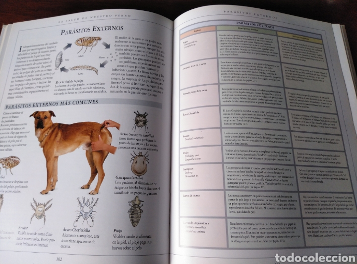 Libros de segunda mano: Manual del cuidado del perro. Dr. Bruce Fogle. - Foto 2