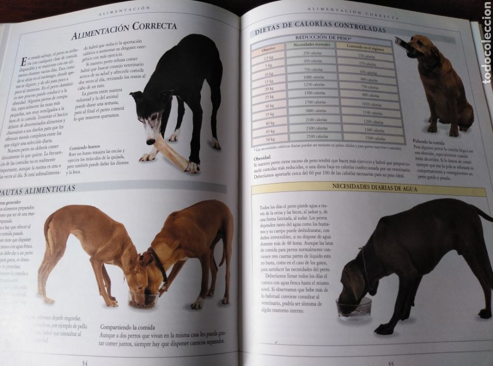 Libros de segunda mano: Manual del cuidado del perro. Dr. Bruce Fogle. - Foto 3