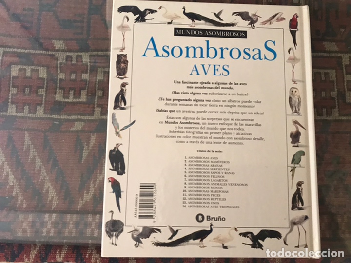 Libros de segunda mano: Asombrosas ave. Bru&ntilde;o - Foto 2