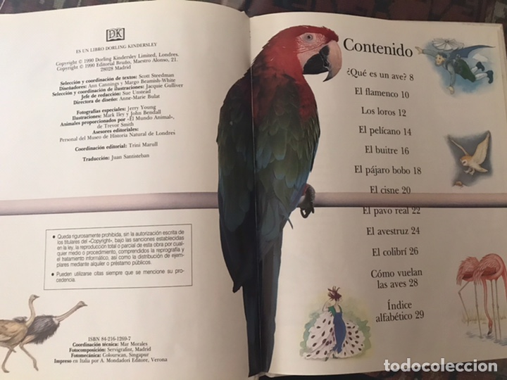 Libros de segunda mano: Asombrosas ave. Bru&ntilde;o - Foto 3