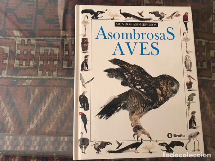 Libros de segunda mano: Asombrosas ave. Bru&ntilde;o - Foto 1