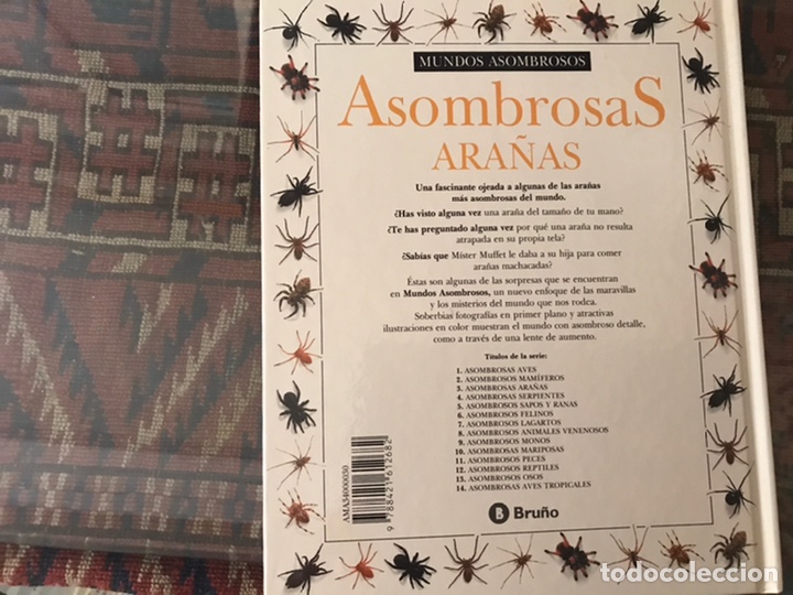 Libros de segunda mano: Asombrosas ara&ntilde;as. Bru&ntilde;o - Foto 2