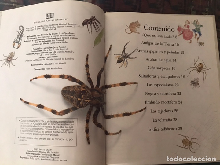 Libros de segunda mano: Asombrosas ara&ntilde;as. Bru&ntilde;o - Foto 3