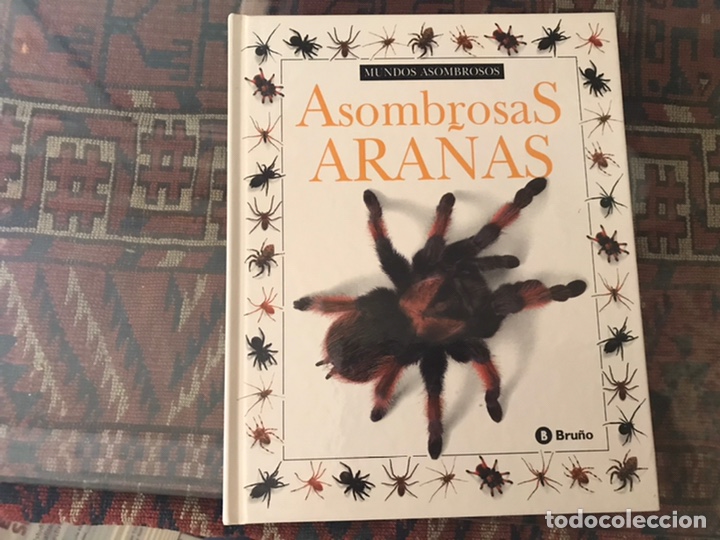 Libros de segunda mano: Asombrosas ara&ntilde;as. Bru&ntilde;o - Foto 1