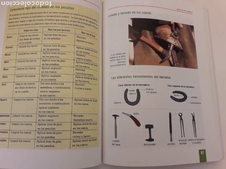 Libros de segunda mano: CUIDADOS DEL CABALLO. JULIE DEUTSCH. - Foto 3
