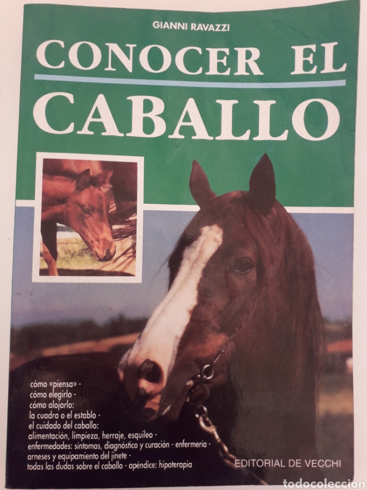 Libros de segunda mano: CONOCER EL CABALLO. GIANNI RAVAZZI. ED. DE VECCCHI - Foto 1