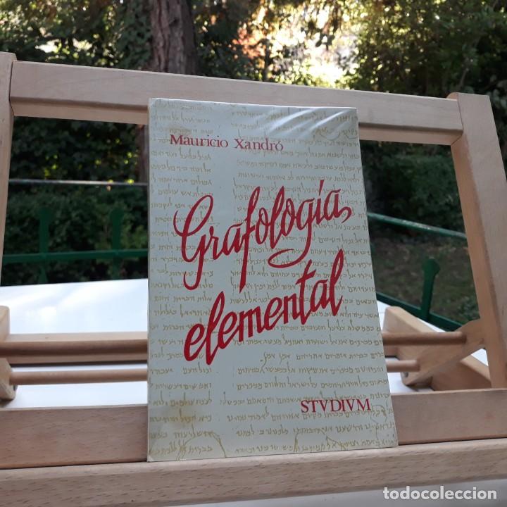 Libros de segunda mano: GRAFOLOG&Iacute;A ELEMENTAL / MAURICIO XANDR&Oacute; / STVDIVM / 1973 - Foto 1