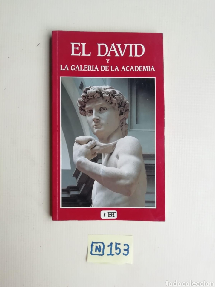 Libros de segunda mano: El David Y La Galer&iacute;a De La Academia - Foto 1