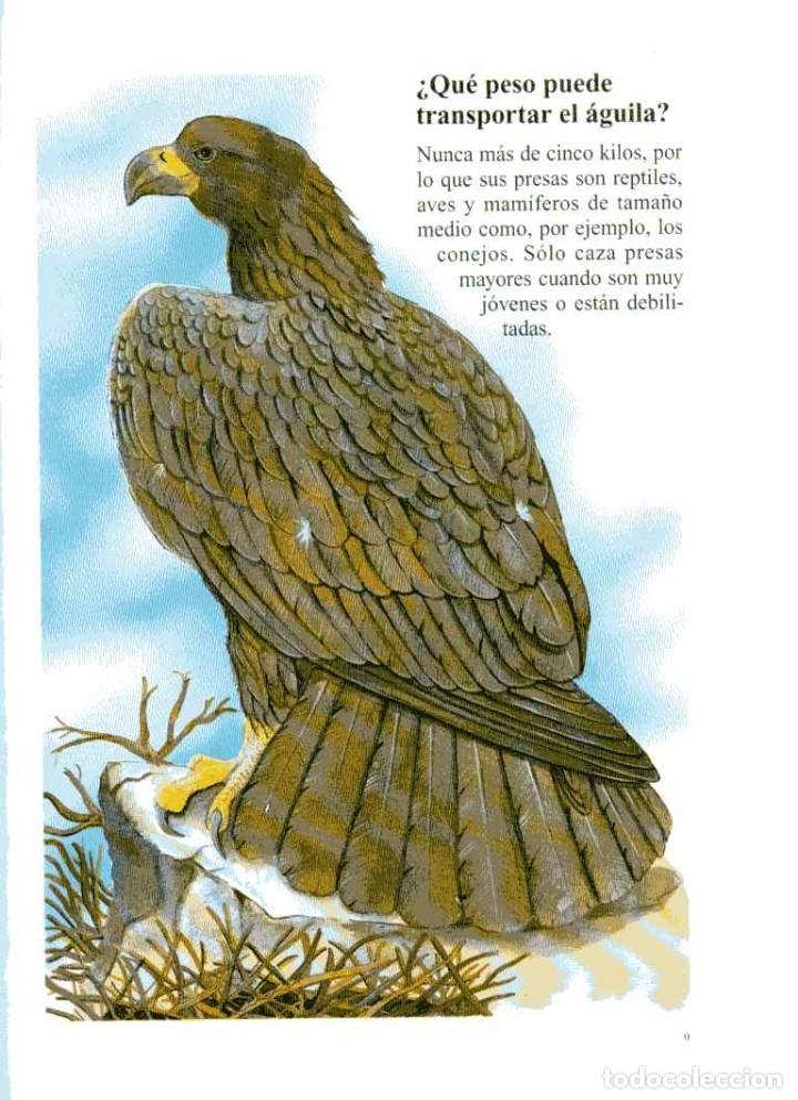 Libros de segunda mano: TUS AMIGOS LOS ANIMALES - EL &Aacute;GUILA - Foto 2
