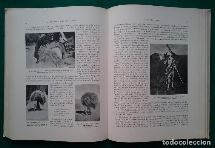 Libros de segunda mano: LOS PASIEGOS LIBRO SANTANDER CANTABRIA - Foto 8