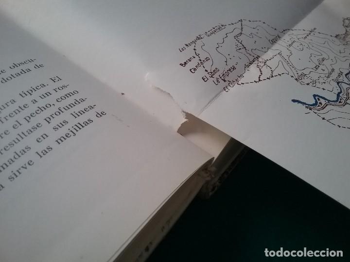 Libros de segunda mano: LOS PASIEGOS LIBRO SANTANDER CANTABRIA - Foto 19