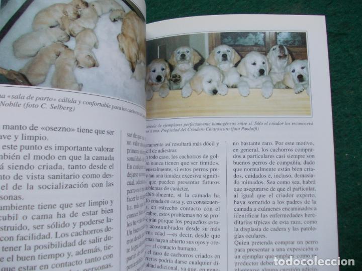 Libros de segunda mano: libro El Golden Retriever - Foto 2