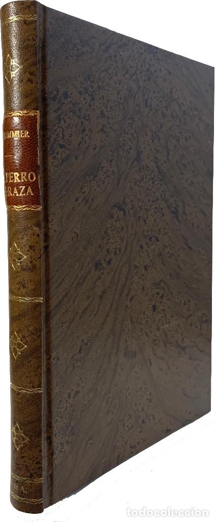 Libros de segunda mano: PERRO DE RAZA, EL - Foto 1