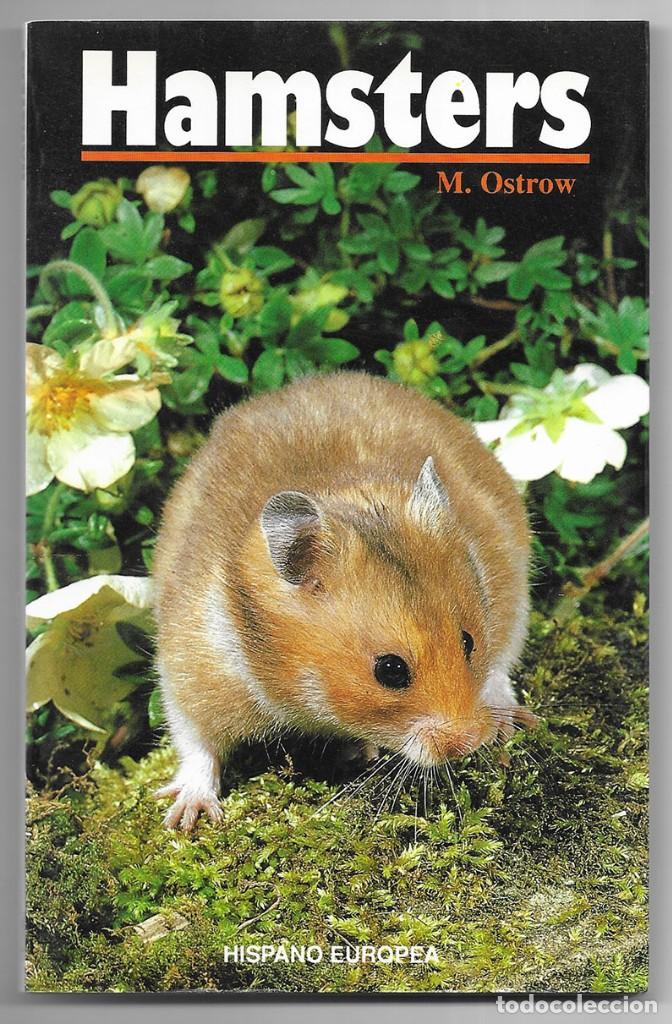 Libros de segunda mano: Hamsters - Seleccion y Crianza. Ostrow, M. - Foto 1