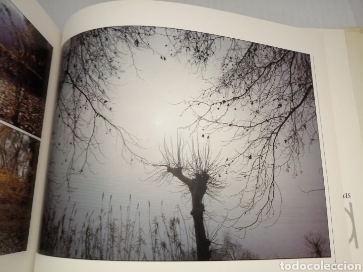 Libros de segunda mano: Zaragoza (Primera edici&oacute;n) - Foto 3