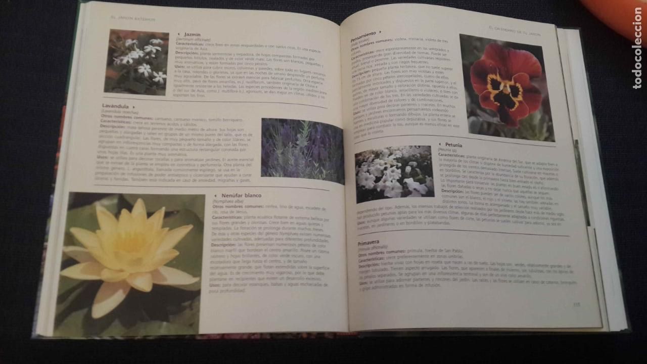 Libros de segunda mano: El gran Libro de la Jardiner&iacute;a --jardiner&iacute;a. - Foto 3