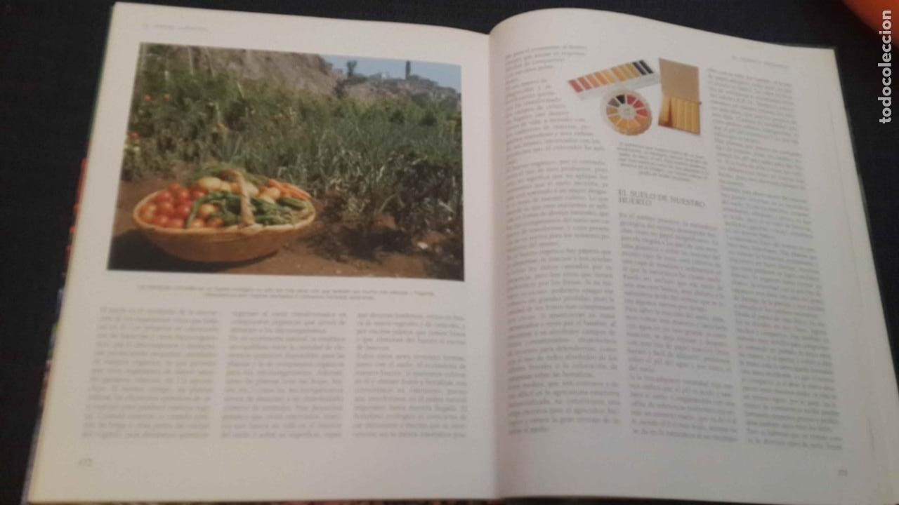 Libros de segunda mano: El gran Libro de la Jardiner&iacute;a --jardiner&iacute;a. - Foto 5