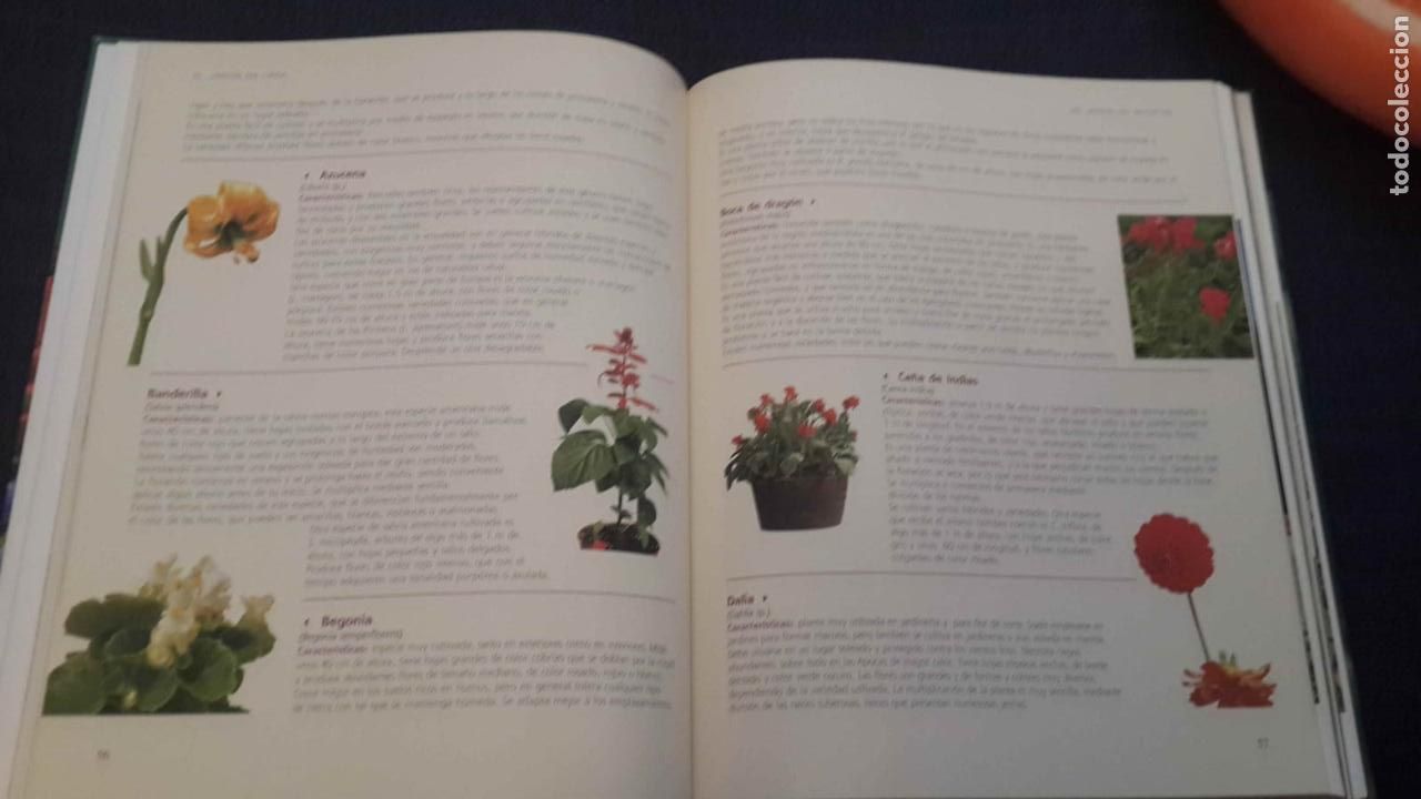 Libros de segunda mano: El gran Libro de la Jardiner&iacute;a --jardiner&iacute;a. - Foto 6