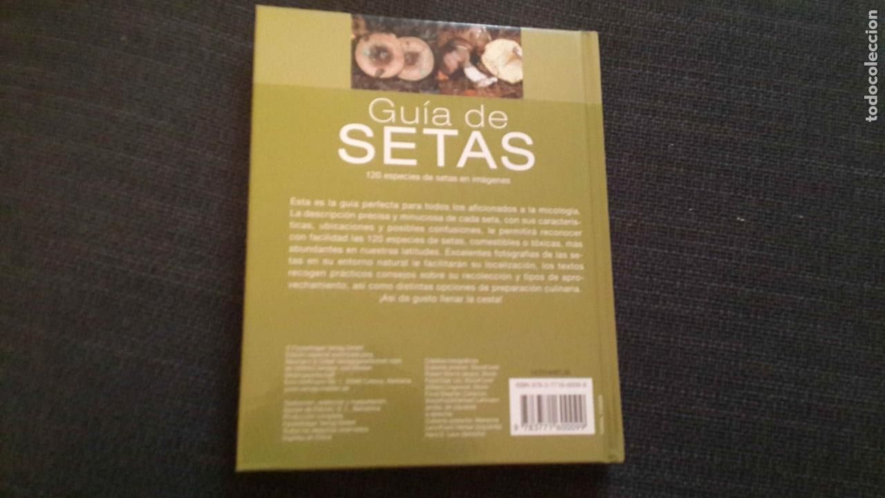 Libros de segunda mano: Guia de Setas -- espa&ntilde;a - Foto 2
