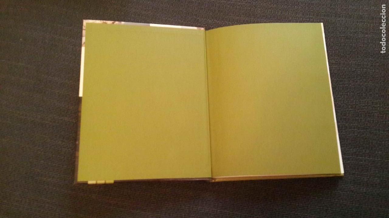 Libros de segunda mano: Guia de Setas -- espa&ntilde;a - Foto 4