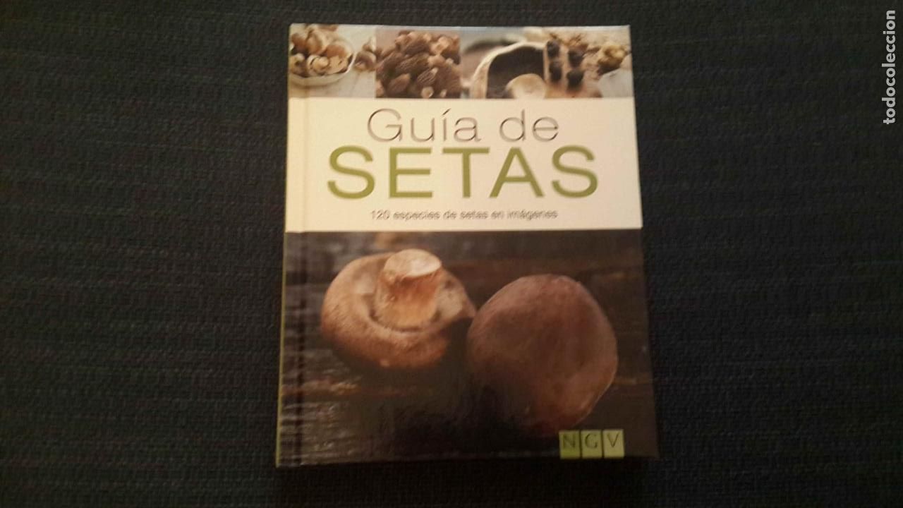 Libros de segunda mano: Guia de Setas -- espa&ntilde;a - Foto 1