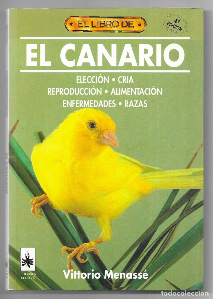 Libros de segunda mano: El libro de EL CANARIO. Menass&eacute;, Vittorio - Foto 1
