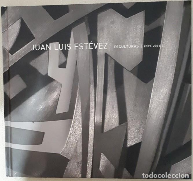 Libros de segunda mano: ESCULTURAS (2009 &ndash; 2011) - Foto 1