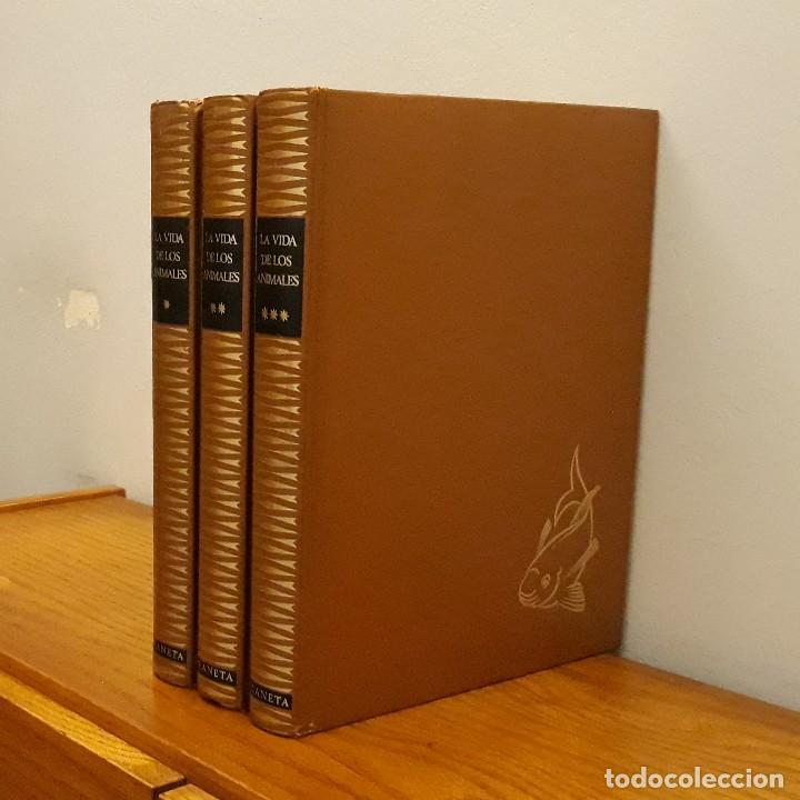 Libros de segunda mano: LA VIDA DE LOS ANIMALES (3 TOMOS) - PIERRE-PAUL GRASSE - Foto 2
