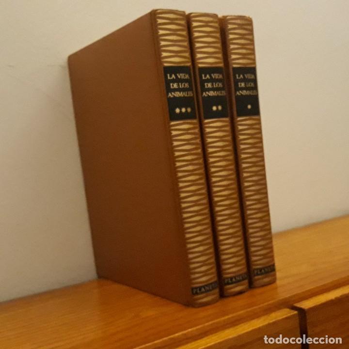 Libros de segunda mano: LA VIDA DE LOS ANIMALES (3 TOMOS) - PIERRE-PAUL GRASSE - Foto 4