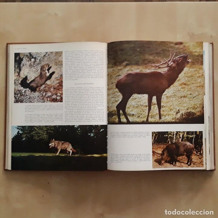 Libros de segunda mano: LA VIDA DE LOS ANIMALES (3 TOMOS) - PIERRE-PAUL GRASSE - Foto 6