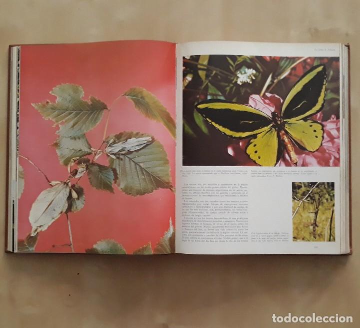Libros de segunda mano: LA VIDA DE LOS ANIMALES (3 TOMOS) - PIERRE-PAUL GRASSE - Foto 7