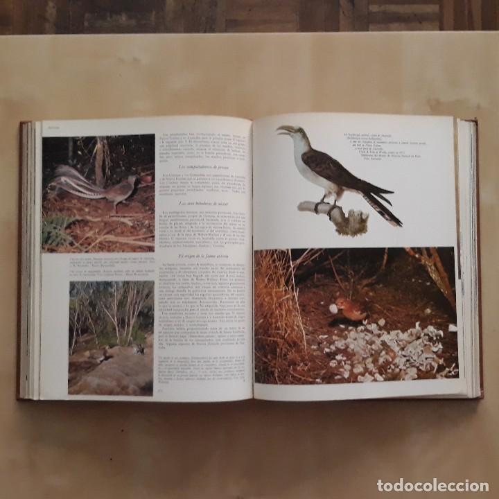 Libros de segunda mano: LA VIDA DE LOS ANIMALES (3 TOMOS) - PIERRE-PAUL GRASSE - Foto 8