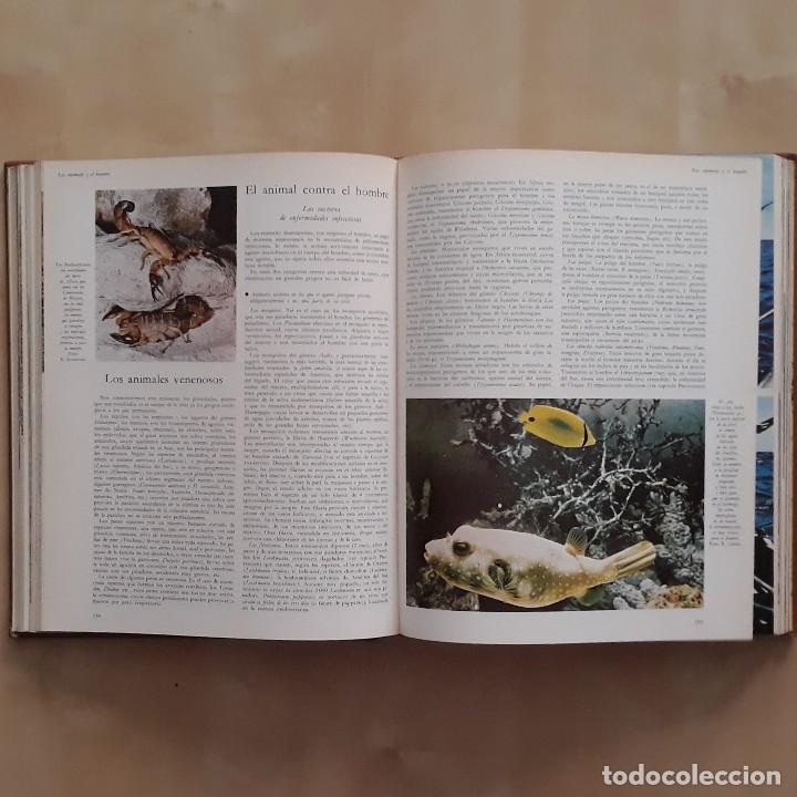 Libros de segunda mano: LA VIDA DE LOS ANIMALES (3 TOMOS) - PIERRE-PAUL GRASSE - Foto 9