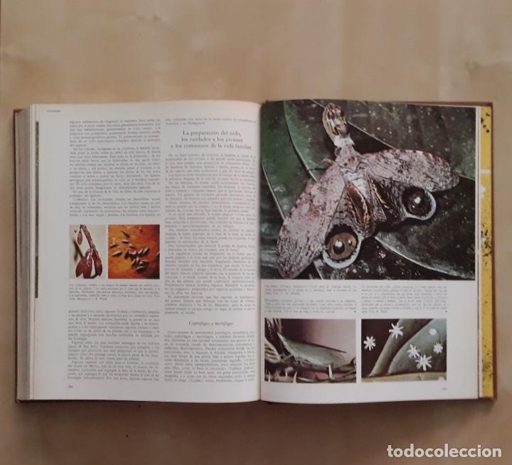 Libros de segunda mano: LA VIDA DE LOS ANIMALES (3 TOMOS) - PIERRE-PAUL GRASSE - Foto 11