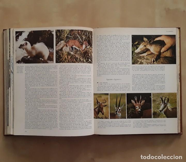 Libros de segunda mano: LA VIDA DE LOS ANIMALES (3 TOMOS) - PIERRE-PAUL GRASSE - Foto 13