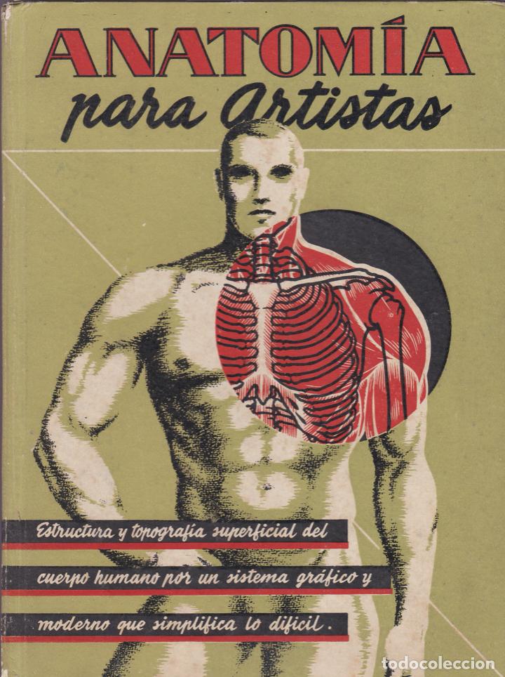 Libros de segunda mano: Anatom&iacute;a para artistas / U. Benedicts - Foto 1